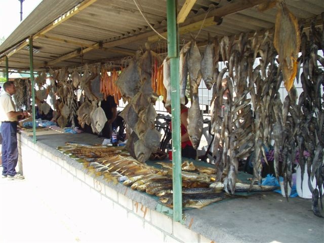 Fischmarkt in Berdjansk, Ukraine